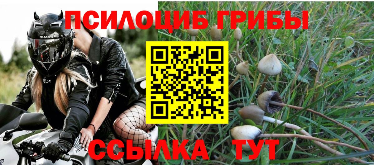 Псилоцибиновые грибы мицелий Губкин