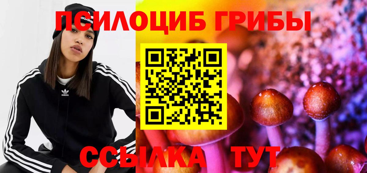 Галлюциногенные грибы Magic Shrooms  Вход с VPN  Губкин  Галлюциногенные грибы Psilocybe 